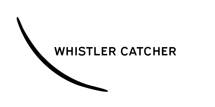 LOGO - VLF Whistler Catcher Logo.jpg